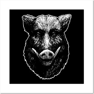 Wild Pig Posters and Art